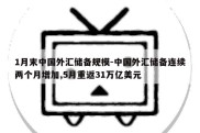 1月末中国外汇储备规模-中国外汇储备连续两个月增加,5月重返31万亿美元