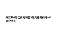 外汇从4万亿美元减至3万元是真的吗-4000亿外汇