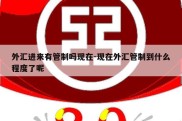 外汇进来有管制吗现在-现在外汇管制到什么程度了呢