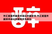 外汇就是外国货币或以外国货币-外汇就是外国货币或以外国货币为单位