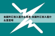 本国外汇收入是什么意思-本国外汇收入是什么意思呀