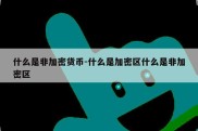 什么是非加密货币-什么是加密区什么是非加密区