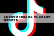 小白怎样快速了解外汇交易-外汇交易小白和新手知识普及