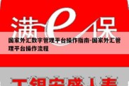 国家外汇数字管理平台操作指南-国家外汇管理平台操作流程