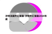 沙特法国外汇储备-沙特外汇储备2020年底