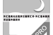 外汇是美元还是其它国家汇币-外汇是本国货币还是外国货币