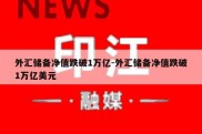 外汇储备净值跌破1万亿-外汇储备净值跌破1万亿美元