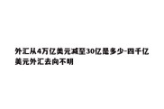 外汇从4万亿美元减至30亿是多少-四千亿美元外汇去向不明