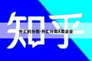 外汇的分类-外汇分类A类企业