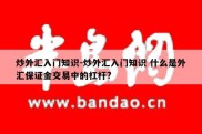 炒外汇入门知识-炒外汇入门知识 什么是外汇保证金交易中的杠杆?