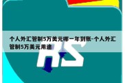 个人外汇管制5万美元哪一年到账-个人外汇管制5万美元用途