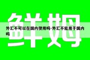 外汇不可以在国内使用吗-外汇不能用于国内吗