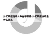 外汇数据跳动公布在哪里看-外汇数据波动是什么意思