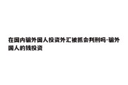 在国内骗外国人投资外汇被抓会判刑吗-骗外国人的钱投资