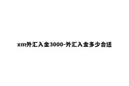 xm外汇入金3000-外汇入金多少合适