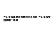 外汇申报本期收到金额什么意思-外汇申报金额按哪个填写