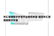 外汇管理数字外管平台如何申报-国家外汇管理局数字外管