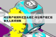 对公账户收到外汇怎么结汇-对公账户结汇后多久人民币到账