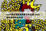 usdt提币没有到账要怎么处理-usdt提币成功平台未到