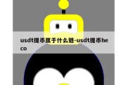 usdt提币属于什么链-usdt提币heco