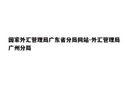 国家外汇管理局广东省分局网站-外汇管理局广州分局