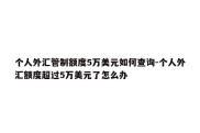 个人外汇管制额度5万美元如何查询-个人外汇额度超过5万美元了怎么办