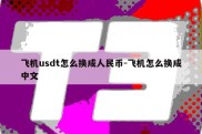 飞机usdt怎么换成人民币-飞机怎么换成中文