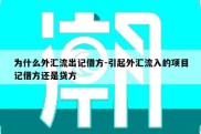 为什么外汇流出记借方-引起外汇流入的项目记借方还是贷方