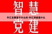 外汇主要是干什么的-外汇到底是什么