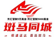 外汇管制5万美金-外汇管制5000美金