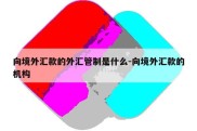 向境外汇款的外汇管制是什么-向境外汇款的机构