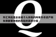 外汇风险是企业或个人持有的所有外币资产和负债都要承担的风险的简单介绍