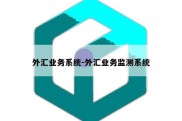 外汇业务系统-外汇业务监测系统