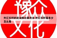 外汇杠杆的定义和计算方法-外汇杠杆是多少怎么看