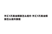 外汇5万美金限额怎么提升-外汇5万美金限额怎么提升额度