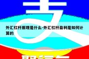 外汇杠杆原理是什么-外汇杠杆盈利是如何计算的