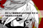 外汇入门基础知识1800万美元-外汇300美金到28万美金杨