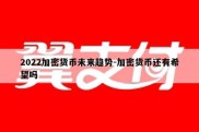 2022加密货币未来趋势-加密货币还有希望吗