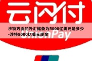 沙特方面的外汇储备为5000亿美元是多少-沙特8000亿美元现金