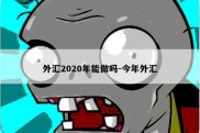 外汇2020年能做吗-今年外汇